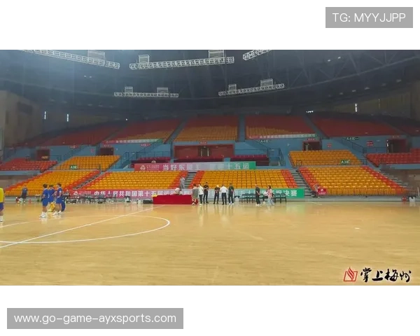 体育场馆服务升级，观赛体验实现全链路优化