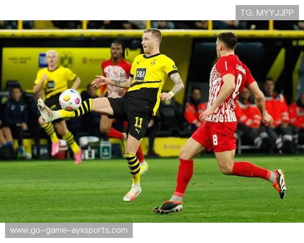 多特蒙德反击一条龙成经典，罗伊斯精准挑传撕裂对手